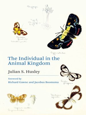 cover image of The Individual in the Animal Kingdom